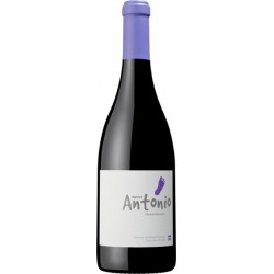 Menino Antonio 2014 Red wine