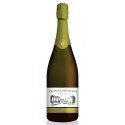 Quinta d'Aguieira Bruto 2013 Sparkling White Wine