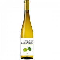 Pequenos Rebentos Alvarinho / Trajadura 2019 White Wine