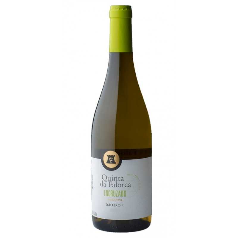 Quinta da Falorca Reserve 2019 White Wine