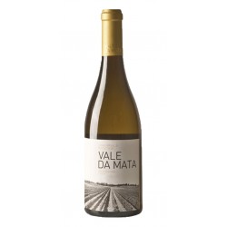 Vale da Mata 2019 White Wine