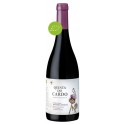 Quinta do Cardo 2016 Red Wine