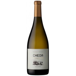 Cheda Reserva 2016 White Wine