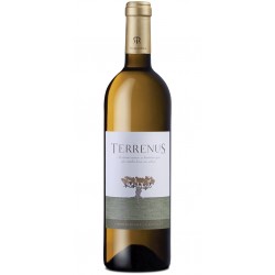 Terrenus 2017 White Wine