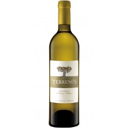 Terrenus Reserva 2017 White Wine