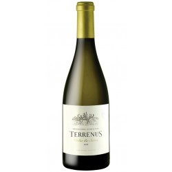 Terrenus Vinha da Serra 2017 White Wine