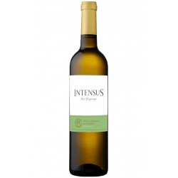 Intensus 2019 White Wine