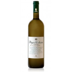 Regia Colheita Reserva 2017 White Wine