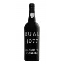 Blandy's Bual Vintage 1977 Madeira WIne