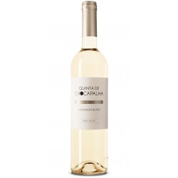 Quinta de Chocapalha Sauvignon Blanc 2019 White Wine