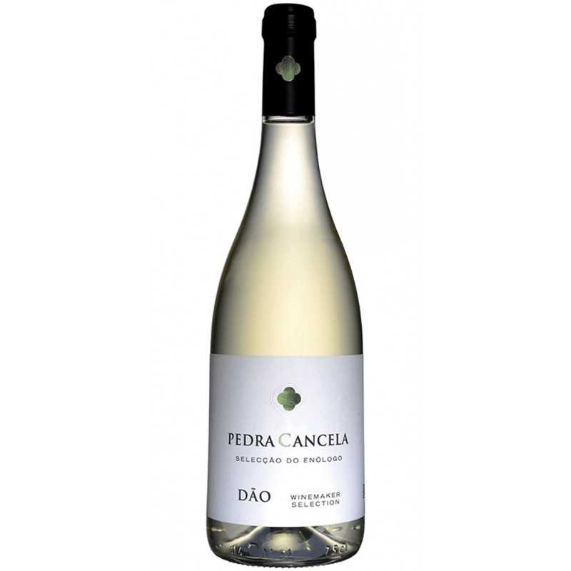 Pedra Cancela Seleção do Enólogo 2019 White Wine