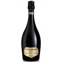 Colinas Cuvée Brut Nature 2016 Sparkling White Wine