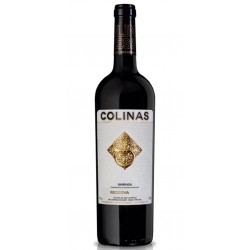 Colinas Reserva 2012 Red Wine