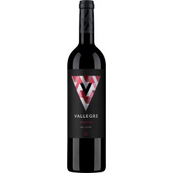 Vallegre 2018 Red Wine