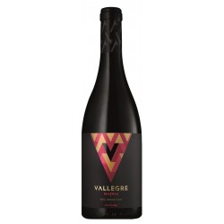 Vallegre Reserva 2016 Red Wine