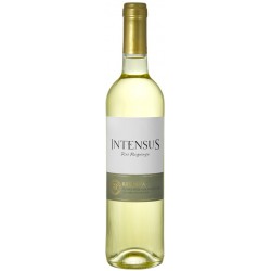 Intensus Reserva 2018 White Wine