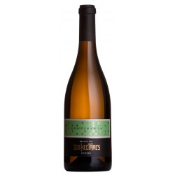 100 Hectares Curtimenta 2018 White Wine
