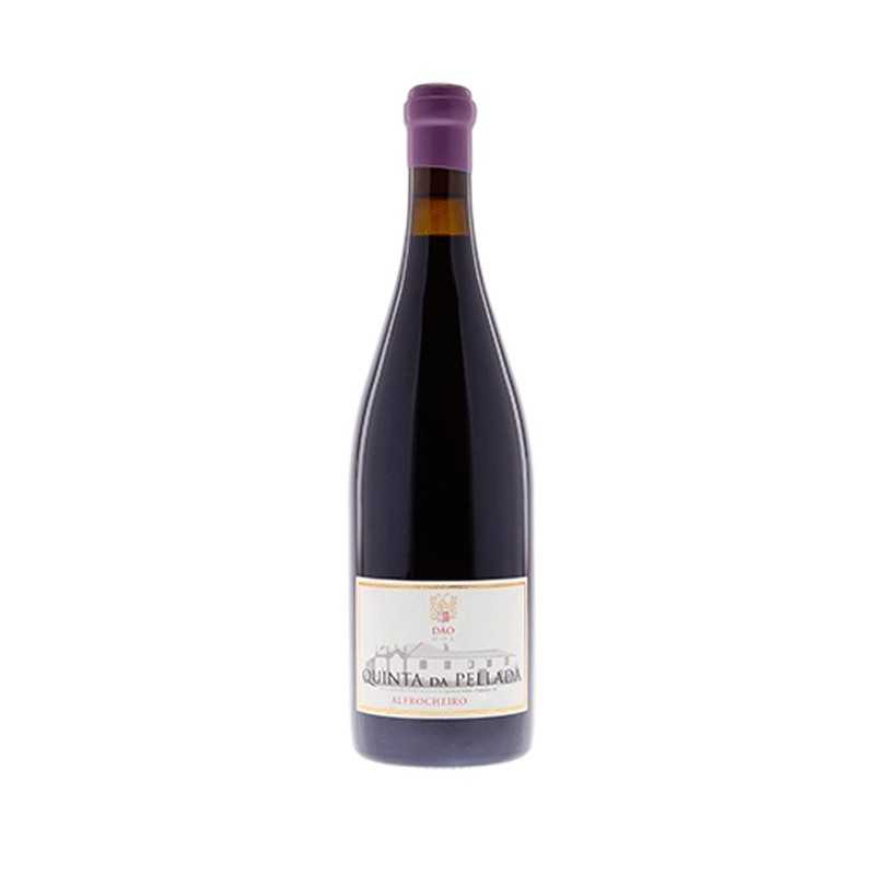 Quinta da Pellada Alfrocheiro 2013 Red Wine