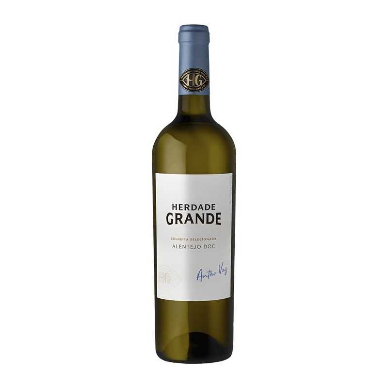 Herdade Grande Antão Vaz 2019 White Wine