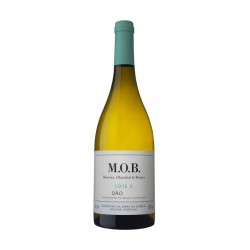 MOB Lote 3 2020 White Wine