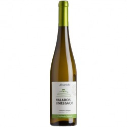 Valados de Melgaço Alvarinho Vinificação Natural 2016 White Wine