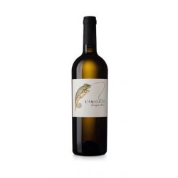 Camaleão Sauvignon Blanc 2016 White Wine