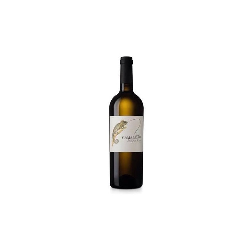 Camaleão Sauvignon Blanc 2016 White Wine