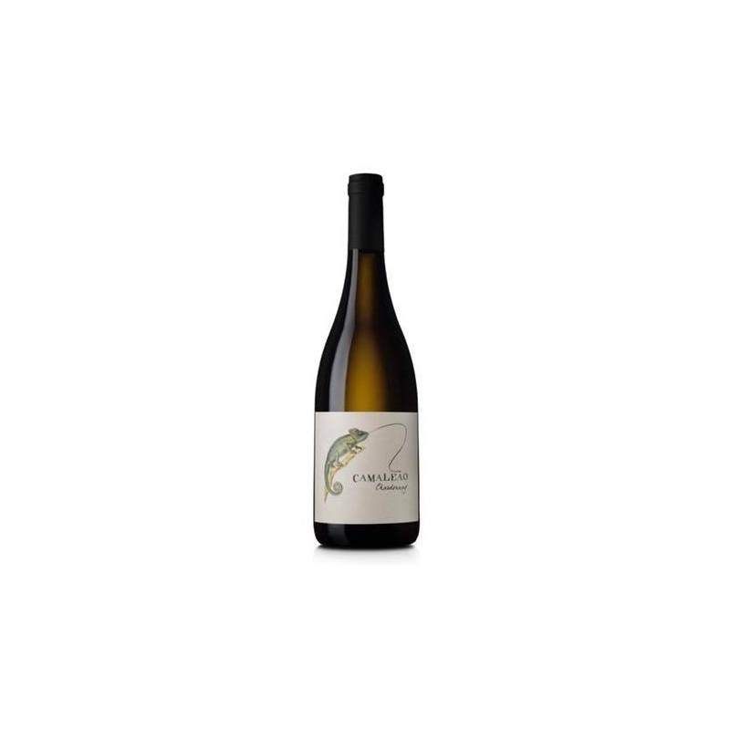 Camaleão Chardonnay 2016 White Wine