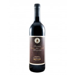 Quinta das Bágeiras Reserva 2017 Red Wine