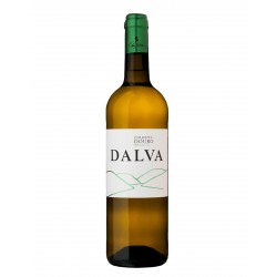 Dalva 2019 White Wine