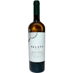 Palato do Côa Reserva 2019 White Wine