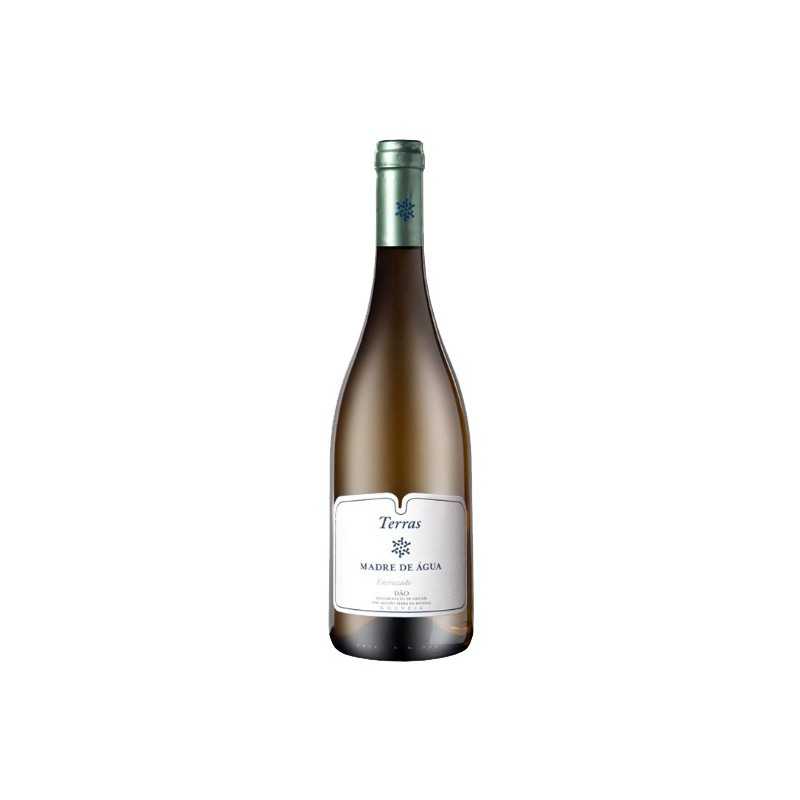 Terras Madre de Água Encruzado 2019 White Wine