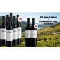 Promotion Quinta de Valbom Red Wine + Herdade dos Grous Red Wine