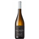 Maçanita 2019 White Wine