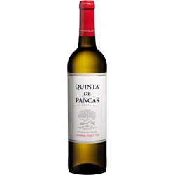 Quinta de Pancas 2017 White Wine