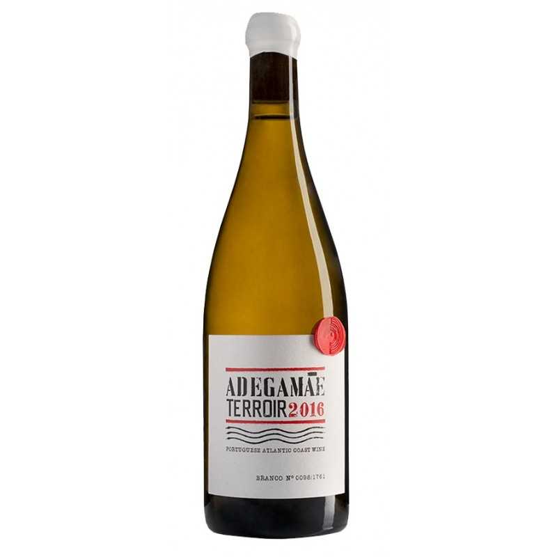 Adega Mãe Terroir 2016 White Wine