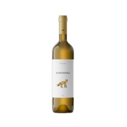 Raposinha 2020 White Wine