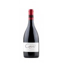 Socalcos da Carris Reserva 2017 Red Wine