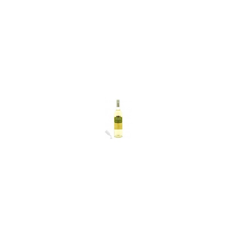 Quinta da Alorna 2019 White Wine