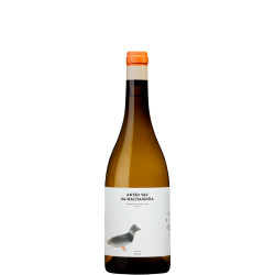 Antão Vaz da Malhadinha - Vinha da Peceguina 2020 White Wine