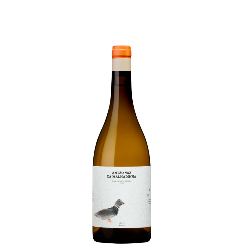 Antão Vaz da Malhadinha - Vinha da Peceguina 2020 White Wine