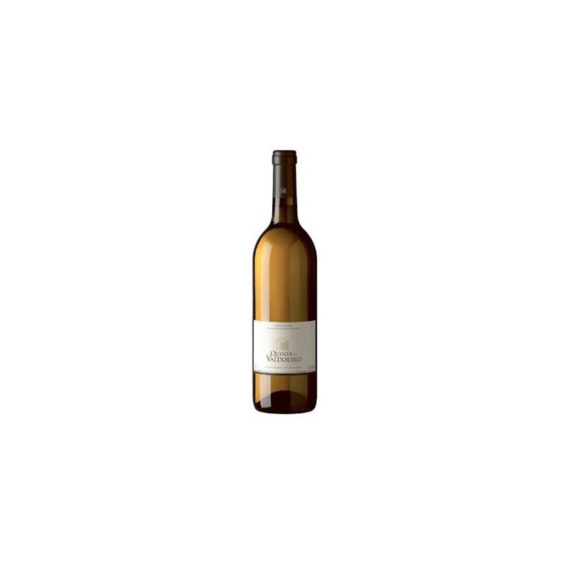 Quinta do Valdoeiro 2019 White Wine