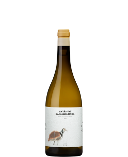 Antão Vaz da Malhadinha - Vinha dos Eucaliptos 2020 White Wine