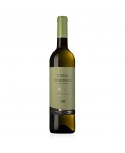 Casal Cordeiro Reserva 2019 White Wine