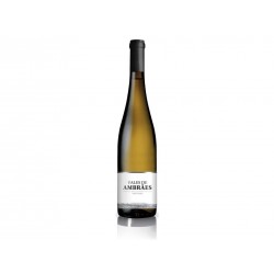 Vale de Ambraes Colheita Selecionada 2015, White Wine