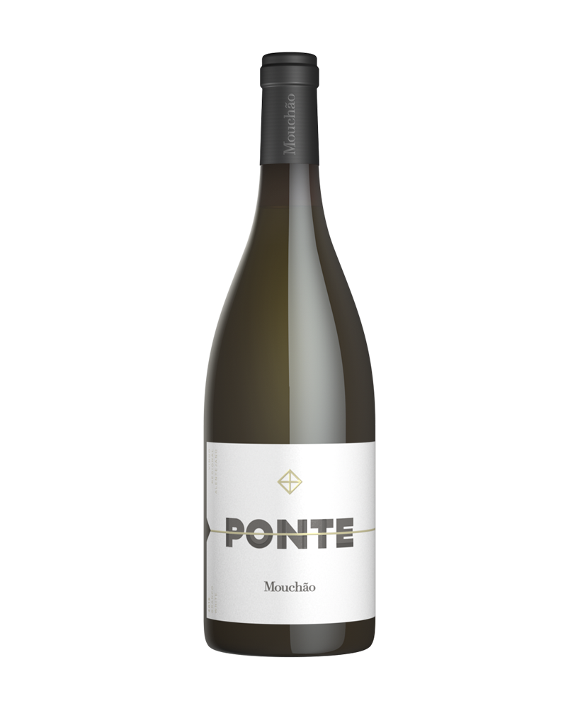 Ponte Mouchão 2019 White Wine