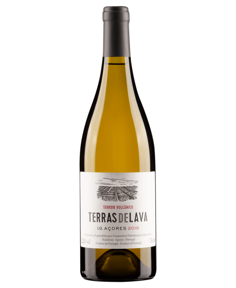 Pico Wines Terras de Lava 2019 White Wine