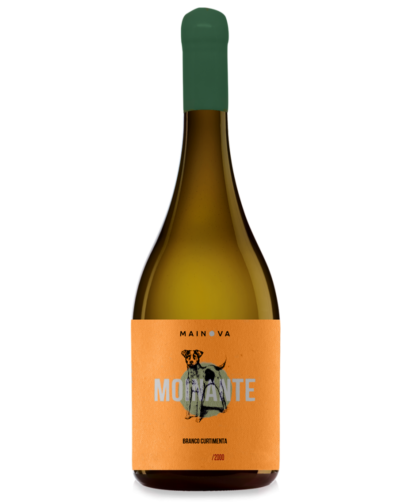 Moinante Curtimenta 2020 White Wine