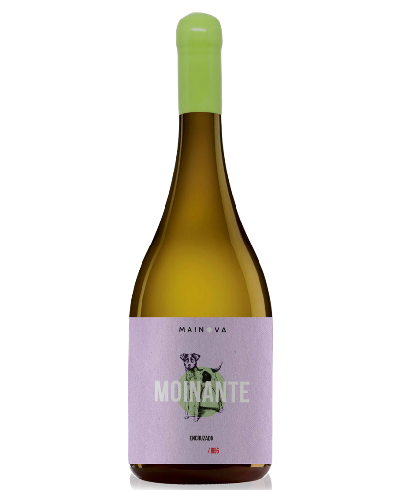 Moinante Encruzado 2020 White Wine