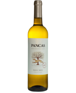 Pancas 2019 White Wine